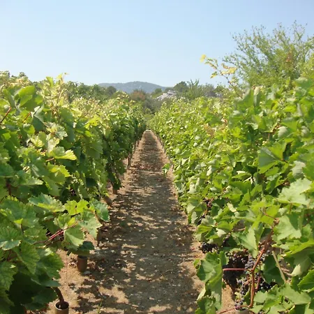 Marinovic Bacina Lakes *