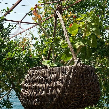 Marinovic Bacina Lakes Ploce (Dubrovnik-Neretva)